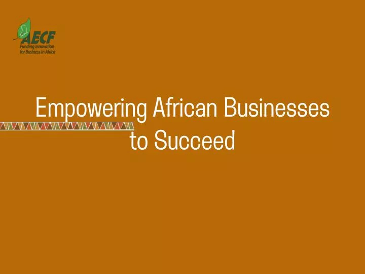 empowering african businesses to succeed