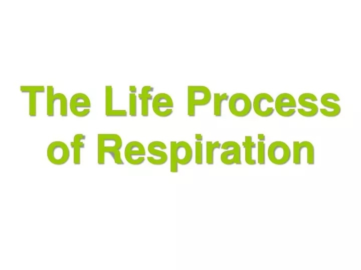 the life process of respiration