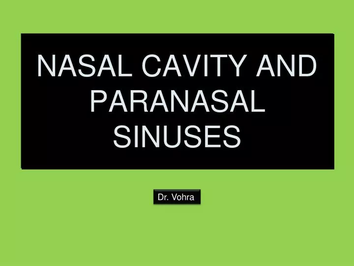 nasal cavity and paranasal sinuses