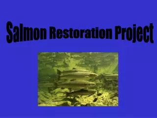 Salmon Restoration Project