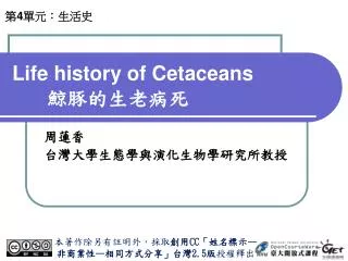 life history of cetaceans