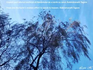 Copacii sunt efortul nesfârşit al Pământului de a vorbi cu cerul. Rabindranath Tagore