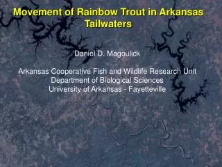 Movement of Rainbow Trout in Arkansas Tailwaters