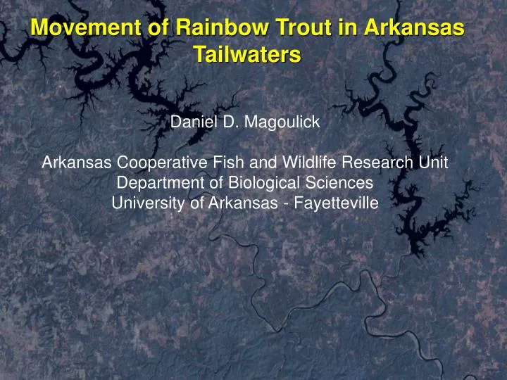 movement of rainbow trout in arkansas tailwaters
