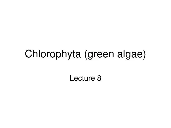 chlorophyta green algae
