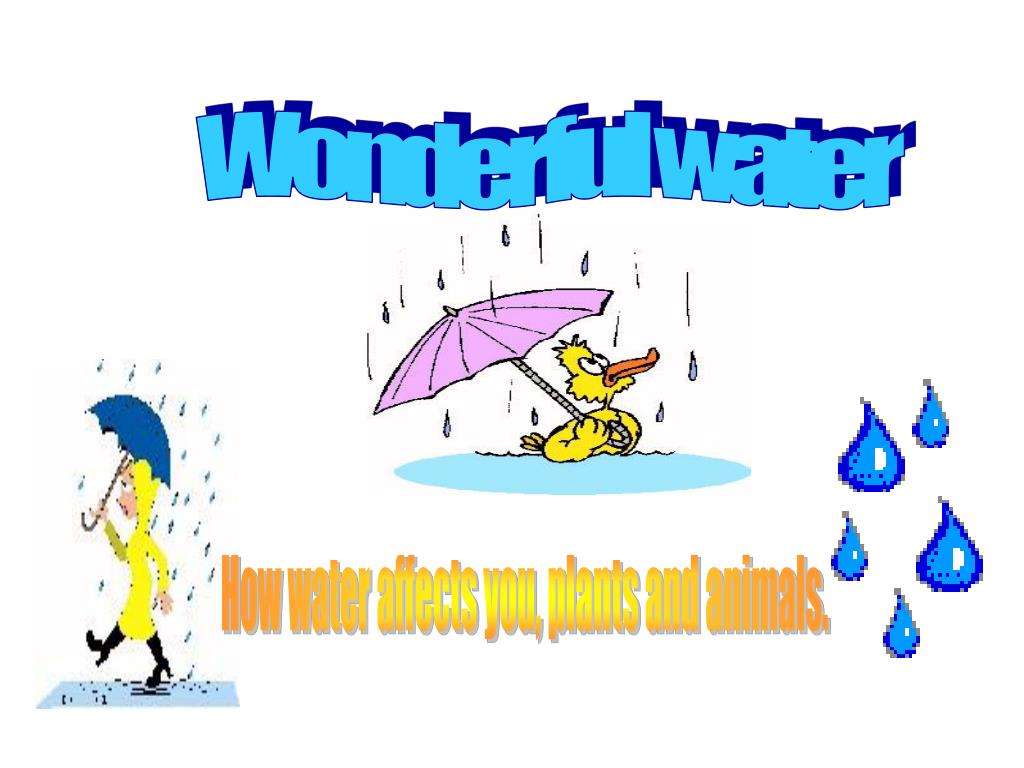 PPT - Wonderful water PowerPoint Presentation, free download - ID:5409691