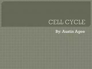 CELL CYCLE
