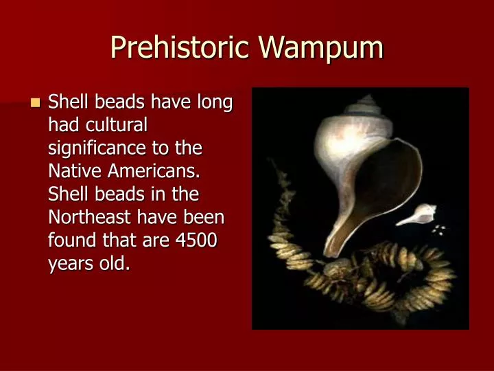 prehistoric wampum