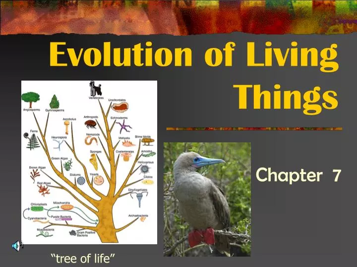 evolution of living things