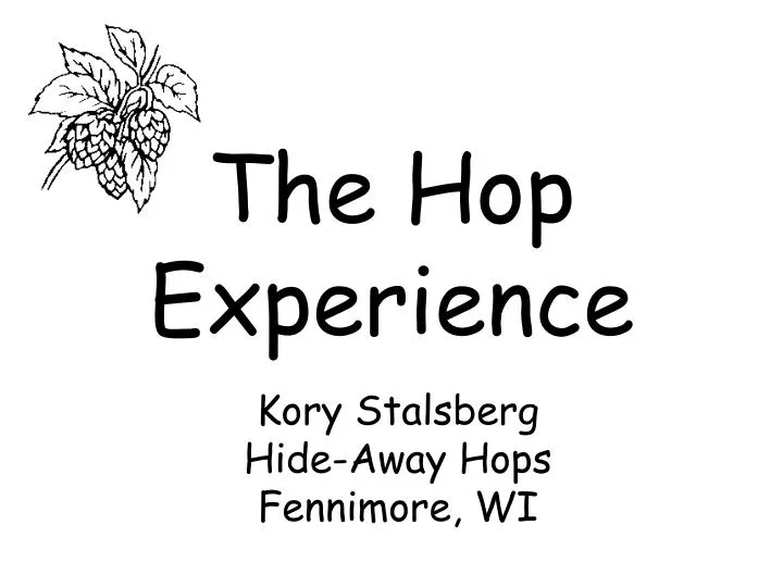 the hop experience