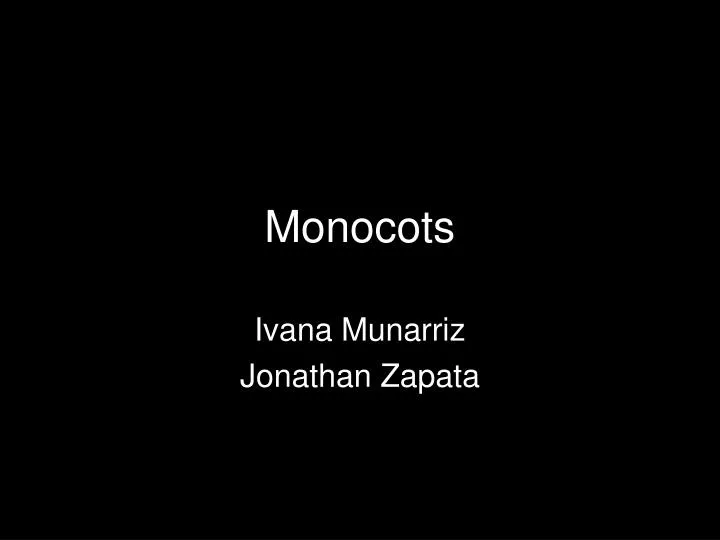 monocots