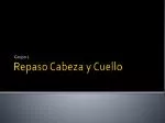Repaso Cabeza y Cuello - slide 1