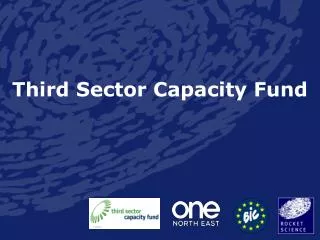 Third Sector Capacity Fund
