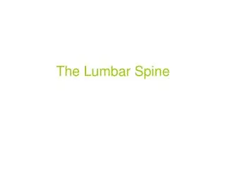 The Lumbar Spine