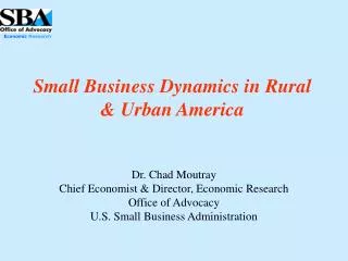 Small Business Dynamics in Rural &amp; Urban America