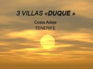3 villas duque