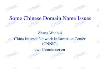 Some Chinese Domain Name Issues