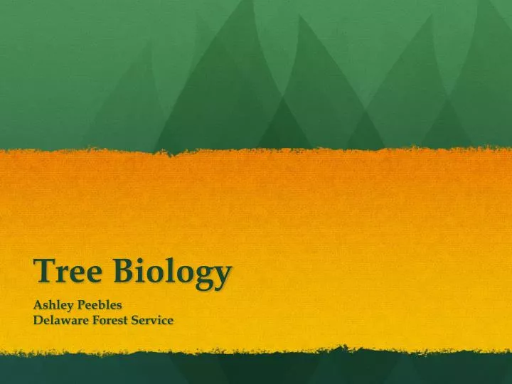 tree biology