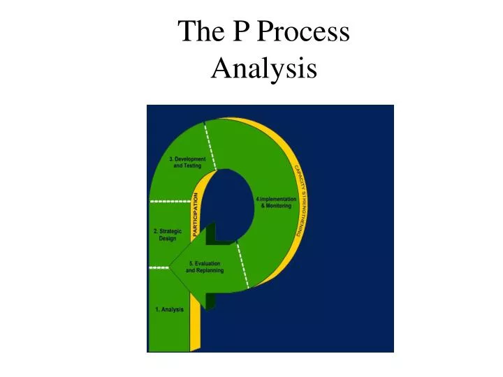 the p process analysis