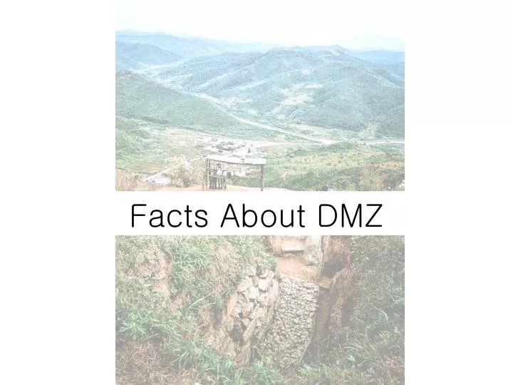 facts about dmz