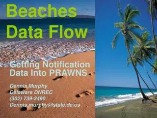 Beaches Data Flow