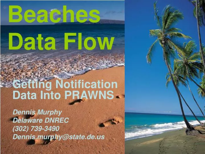beaches data flow