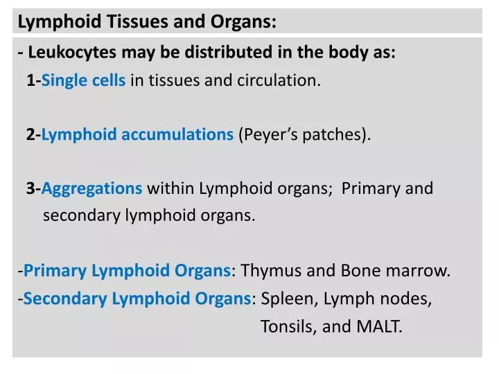 lymphoid tissues and organs