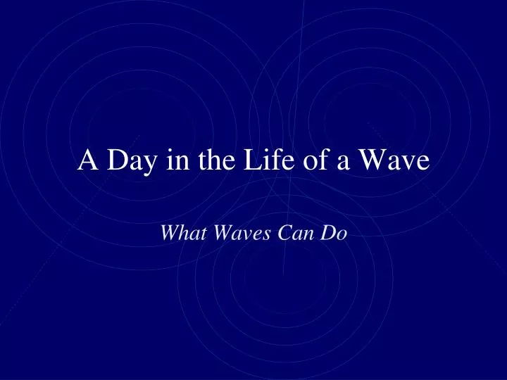 a day in the life of a wave