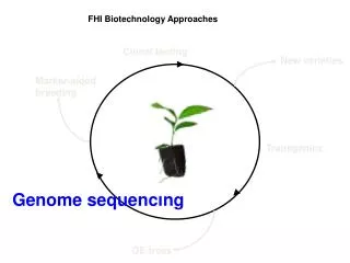 FHI Biotechnology Approaches