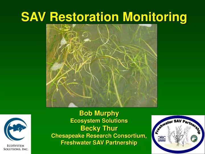 sav restoration monitoring