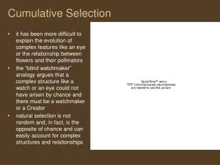 Cumulative Selection
