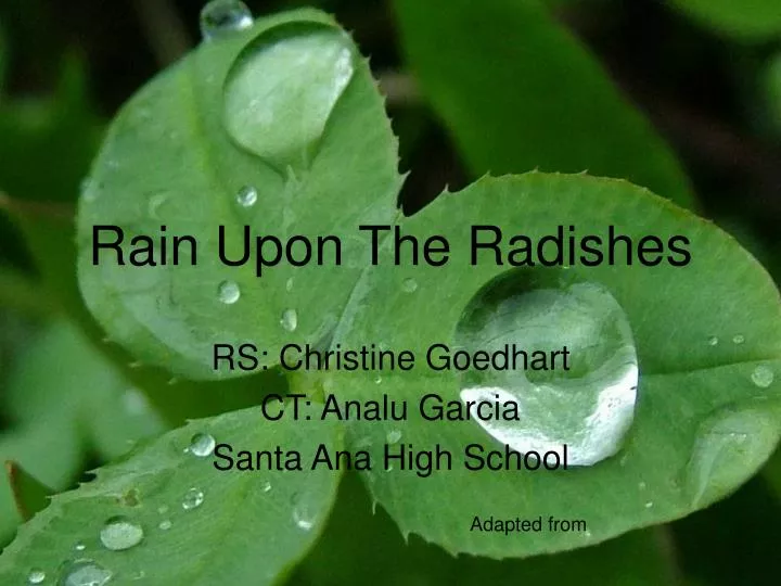 rain upon the radishes