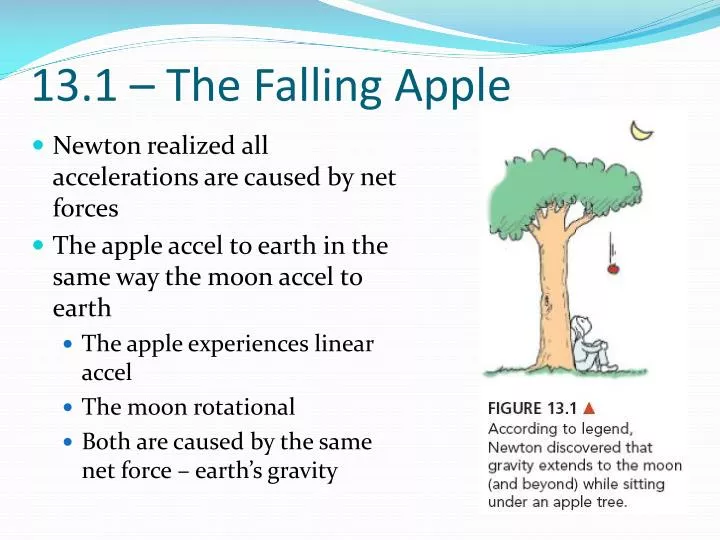 13 1 the falling apple