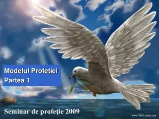 modelul profe iei partea 1