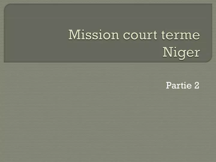mission court terme niger