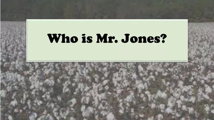 who is mr jones