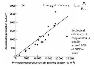 Ecological efficiency of zooplankton is usually around 10% of NPP in lakes