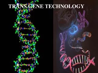 TRANS GENE TECHNOLOGY