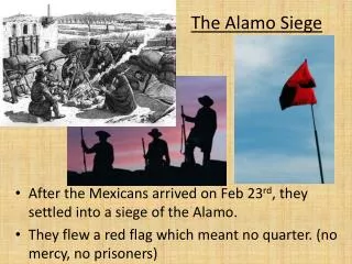 After the Mexicans arrived on Feb 23 rd , they settled into a siege of the Alamo.