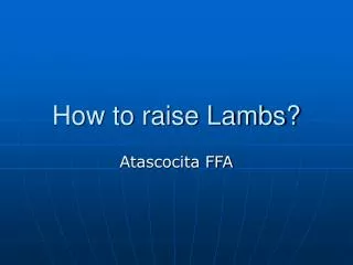 How to raise Lambs?