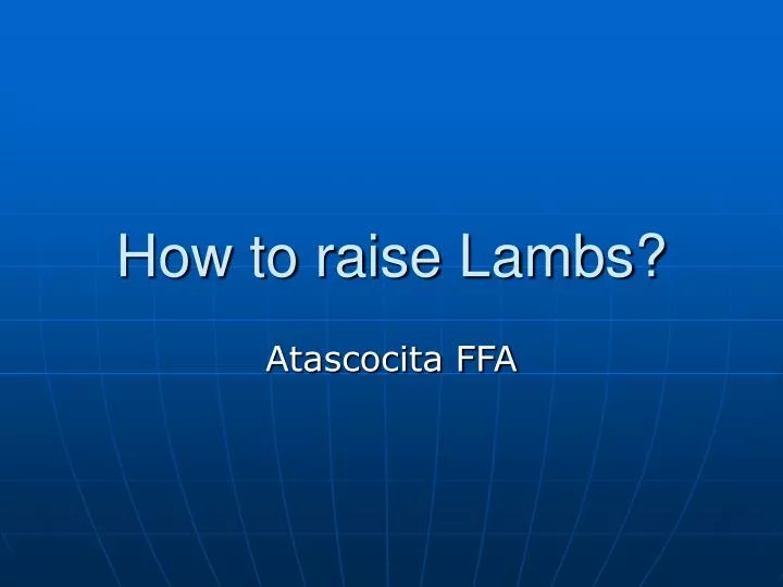 how to raise lambs