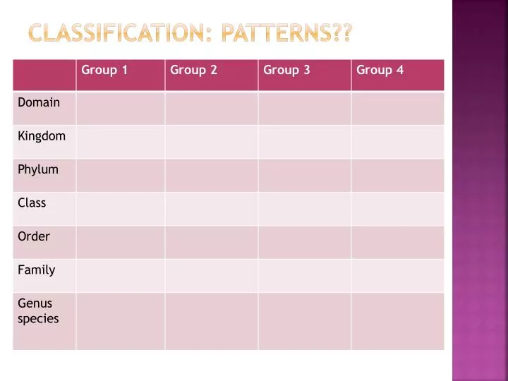 classification patterns