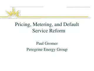 Pricing, Metering, and Default Service Reform Paul Gromer Peregrine Energy Group