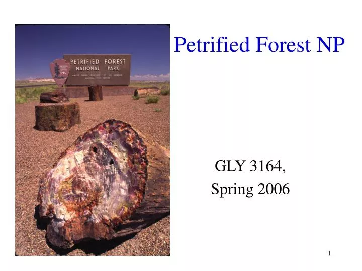 petrified forest np