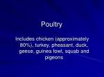 Poultry - slide 1