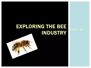 Exploring the Bee Industry