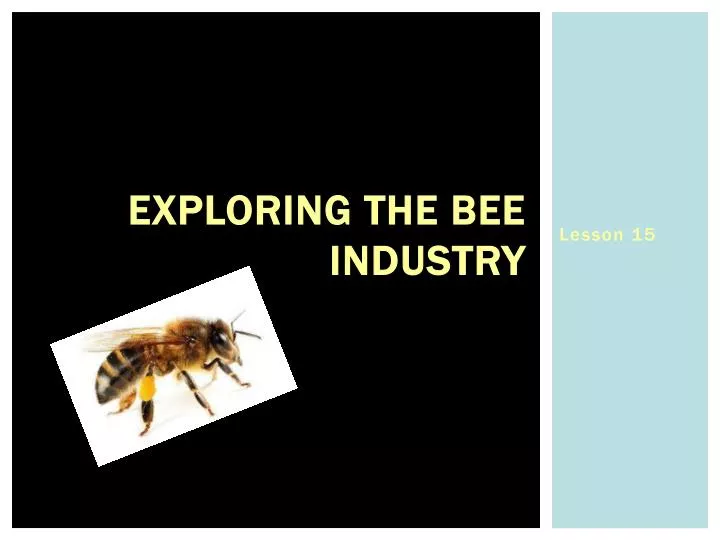 exploring the bee industry