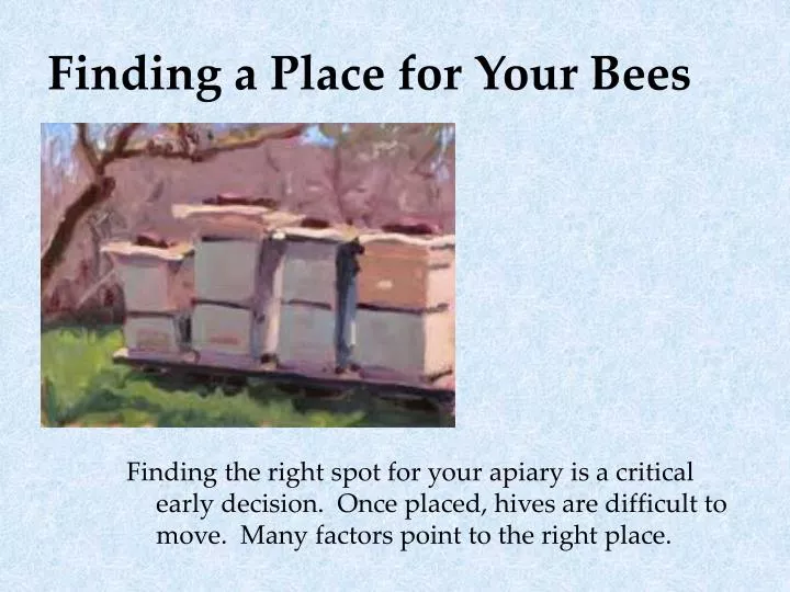 finding a place for your bees