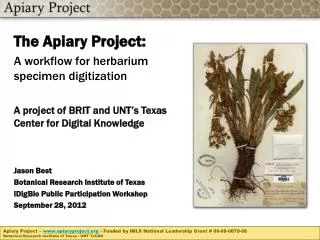 The Apiary Project: A workflow for herbarium specimen digitization