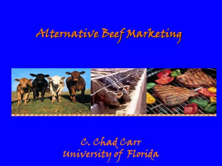 alternative beef marketing